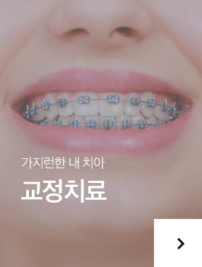 교정치료