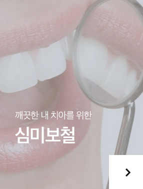 심미보철